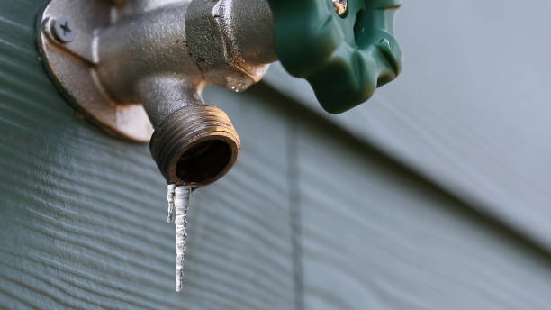Best Residential Plumbing Services  in Bromley, KY